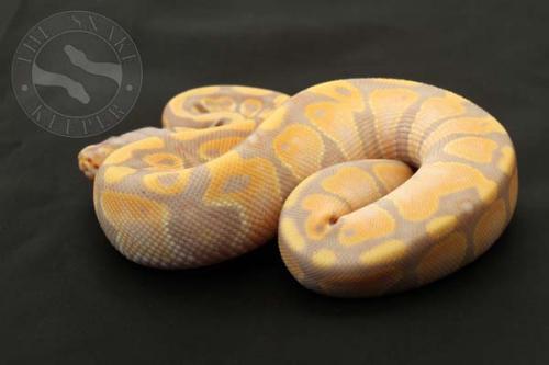 1410banhpied05f4-5