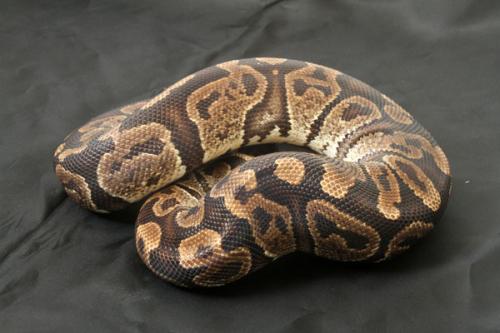0704granite01m