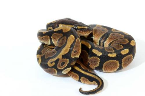 1308granite01f5-7