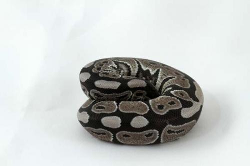 1309axhstp02f2-5