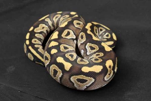 1407mojave05f9-9