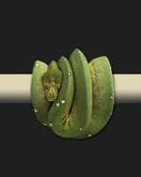 0801jaya02